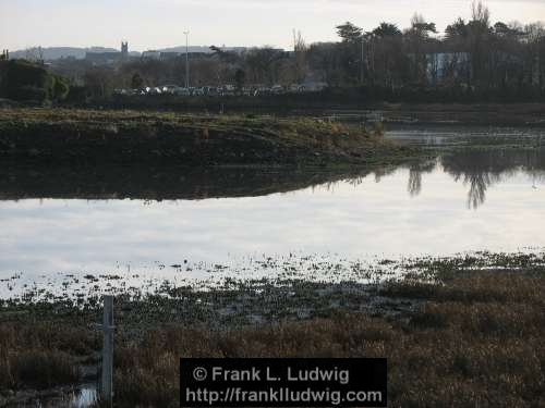 Booterstown Nature Reserve